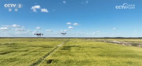 靠谱的配资 新技术、新模式、新品种……秋日田园满满“科技范儿”&#32;铺展丰收画卷