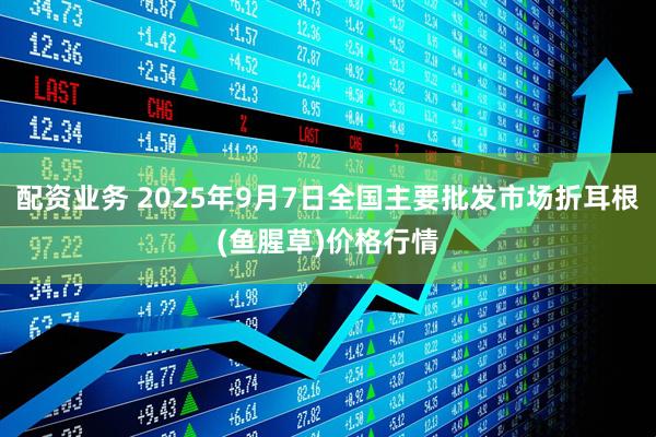 配资业务 2025年9月7日全国主要批发市场折耳根(鱼腥草)价格行情